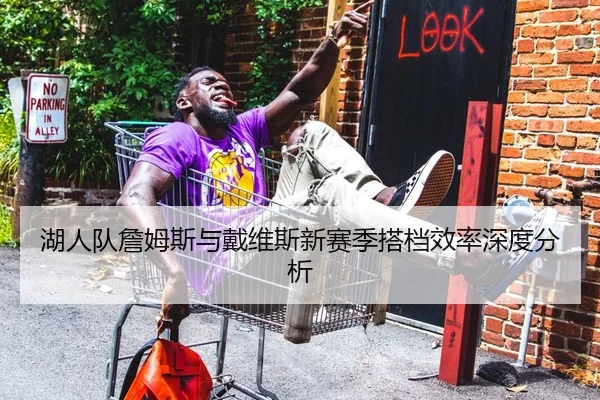 湖人队詹姆斯与戴维斯新赛季搭档效率深度分析（shaba）